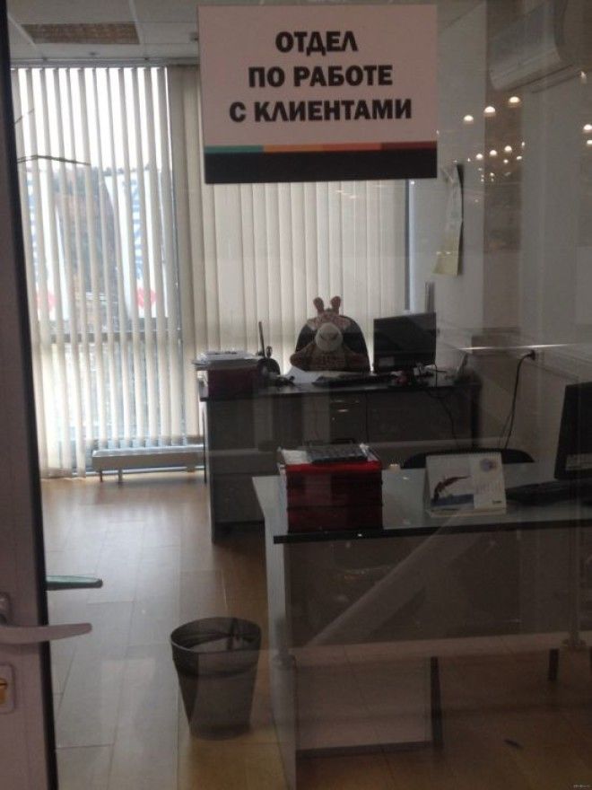 Приколы с клиентами от которых замираешь в шоке