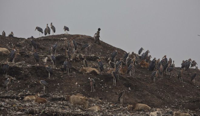 Повседневная жизнь в Индии