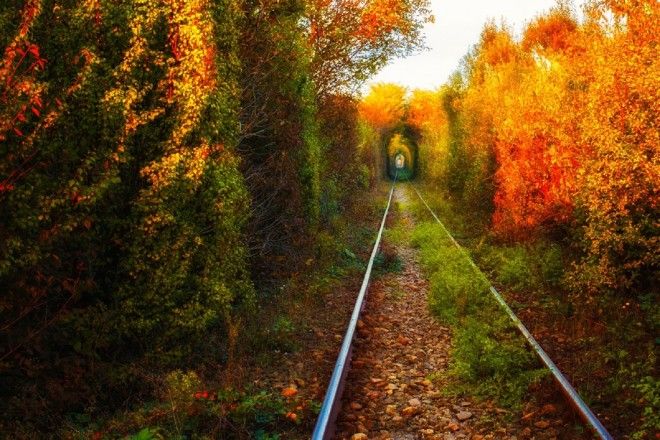 Природа Румыния