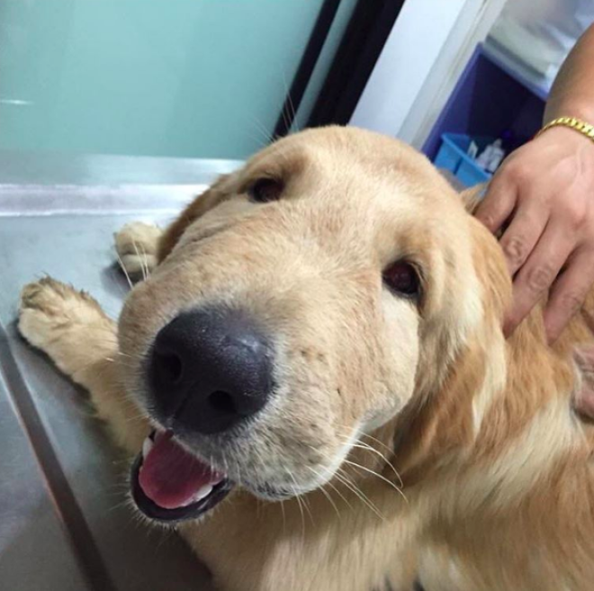 subbuzz1632814806413471