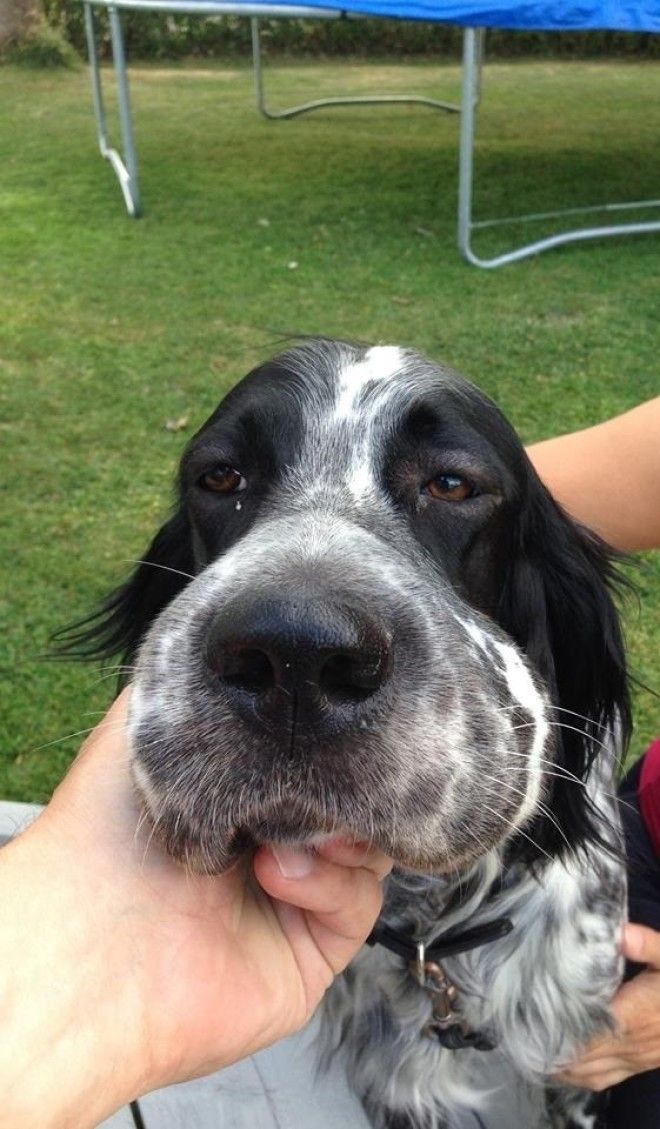 subbuzz1849714808734081