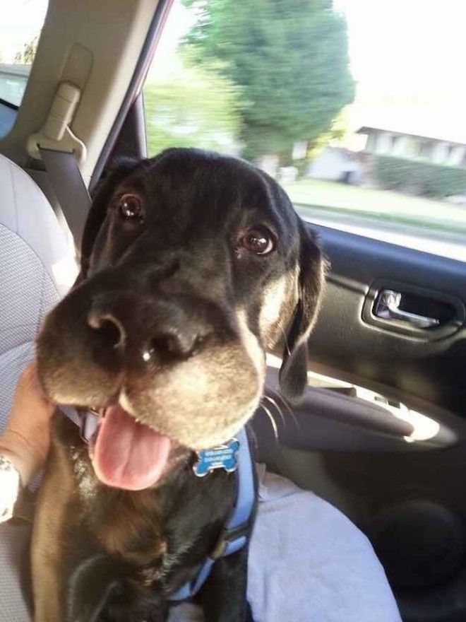 subbuzz1853514808742371