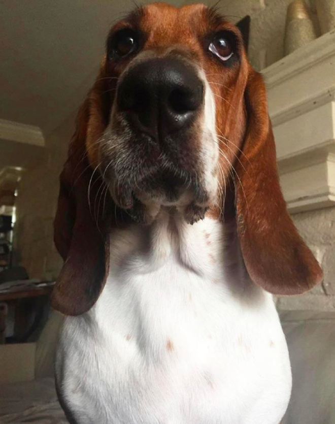 subbuzz372314806421382