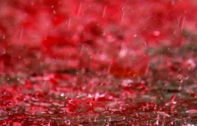 Кровавый дождь Индия 2011 Целых два месяца жители Керала готовились к концу света а что еще прикажешь делать если небеса изливают на землю кровь Ну по крайней мере странную жидкость красного цвета Как выяснилось чуть позже воду окрасили споры местного лишайника но выглядело это все конечно жутко