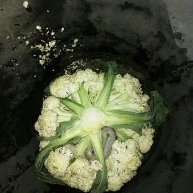 15 мерзких фото которые будут сниться вам в кошмарных снах