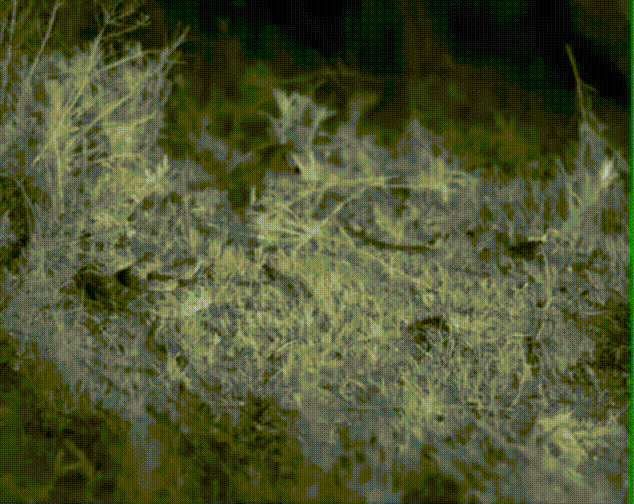 19 жизненных ГИФов которые взбодрят ваш мозг