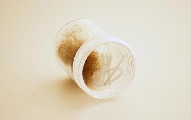 16 безумных вещей знаменитостей проданные на аукционе eBay 