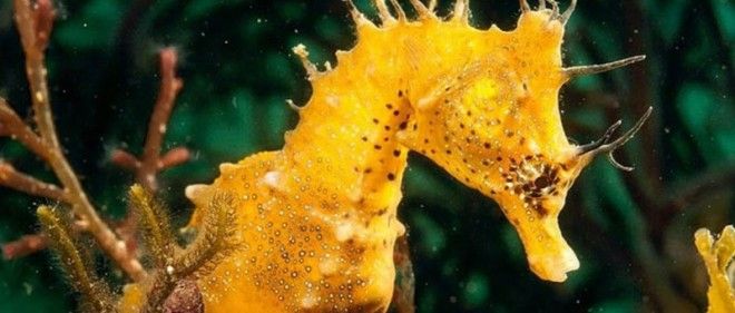 15 шокирующих результатов научных экспериментов 