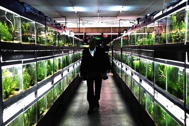 10 лучших фильмов ужасов в которых самыми страшными монстрами являются люди