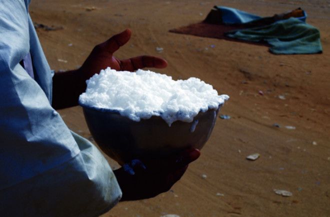 Удивительные суперпродукты будущего которые можно попробовать прямо сейчас