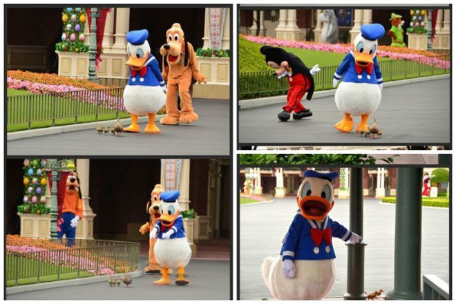 18 тайн и секретов Диснейленда которые вас шокируют