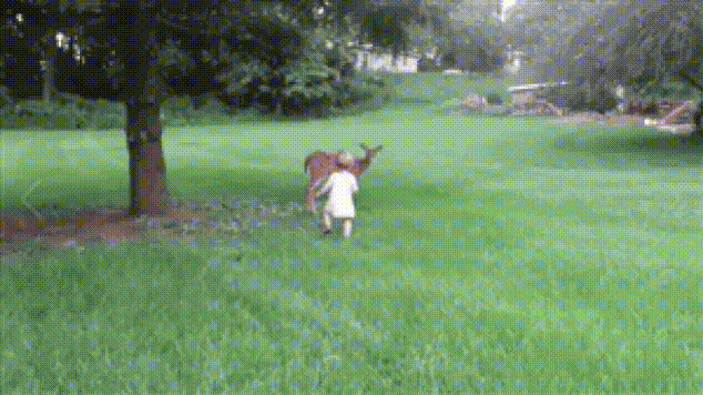 19 жизненных ГИФов которые взбодрят ваш мозг