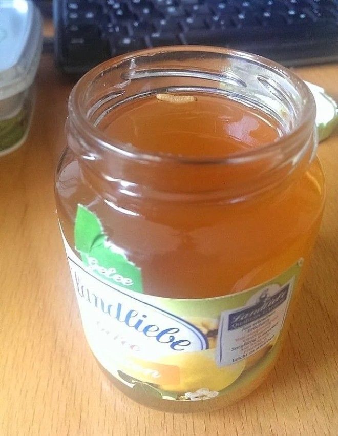 15 мерзких фото которые будут сниться вам в кошмарных снах