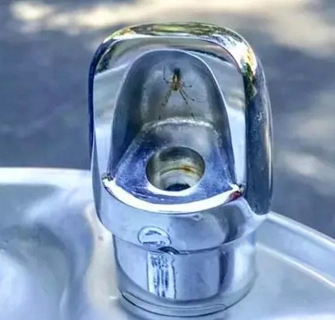 От этих 15 фото у вас однозначно затрясутся поджилки