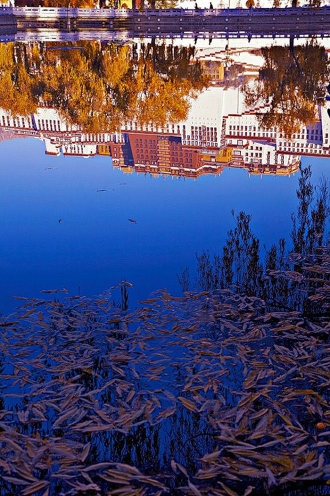 Удивительные фотографии Китая от Шэна Джин (33 Фото)