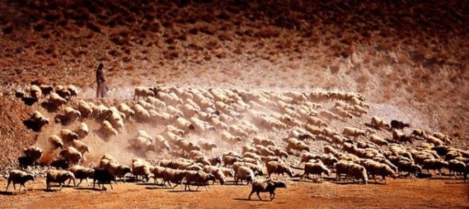 Удивительные фотографии Китая от Шэна Джин (33 Фото)