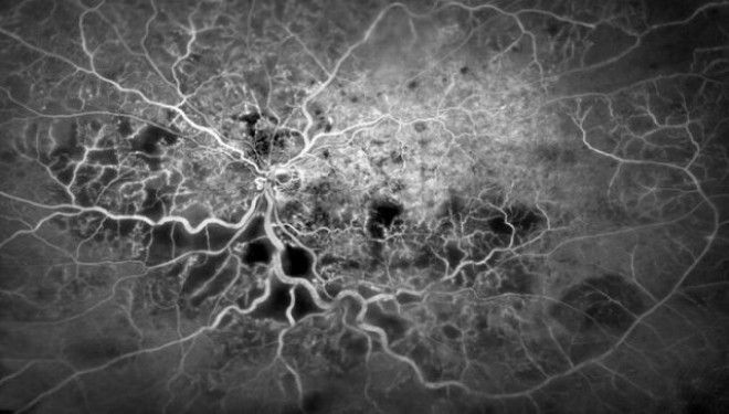 18 удивительных фото из мира науки