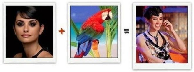 Математика с юмором