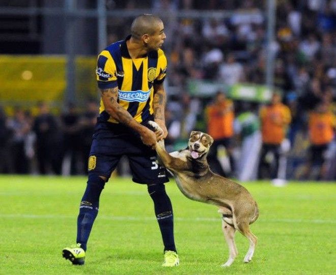 Спорт и юмор жгучая смесь Фото которые заставят тебя смеяться до упаду