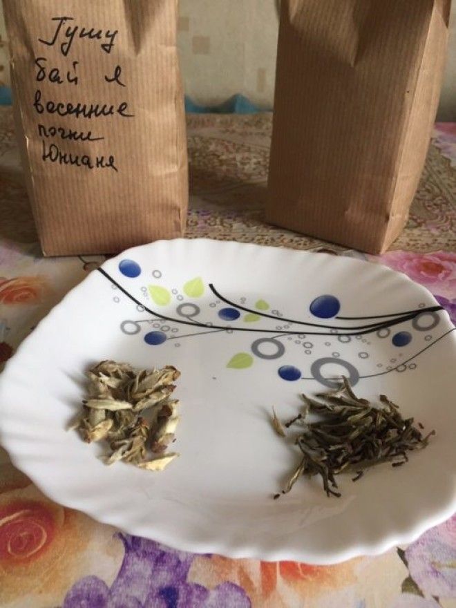 Пушистые почки и почкииглы