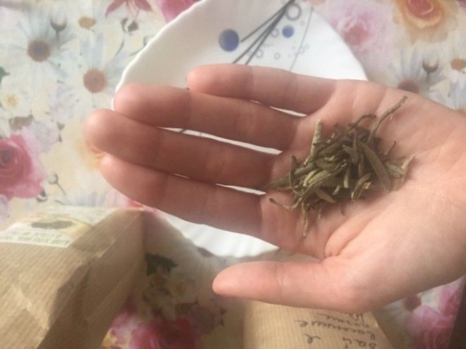 Белый чай почки