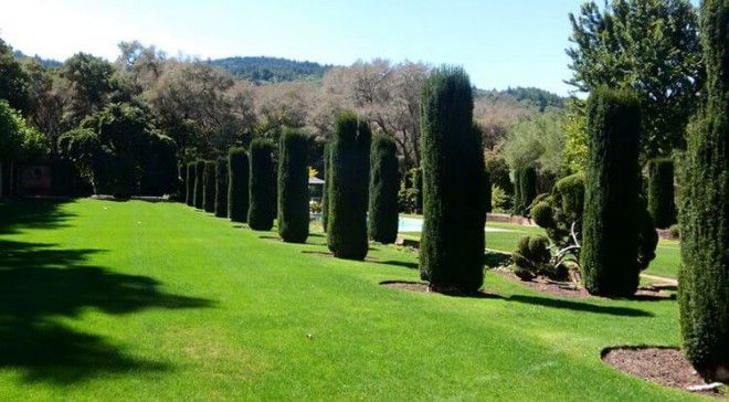 Невероятны сады филоли которые не оставят вас равнодушными