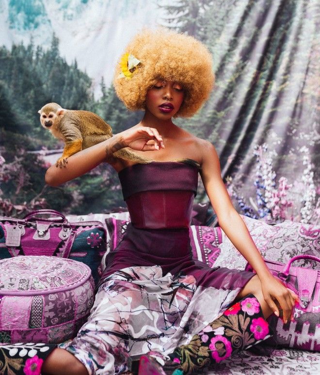 Картинки по запросу Животное