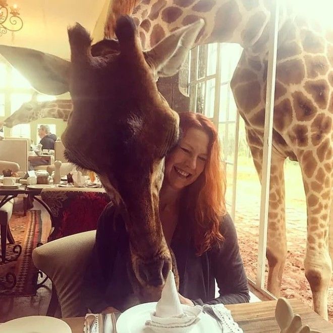 13 отелей по всему миру которые могут вас шокироватьужаснуть или восхитить