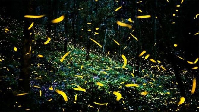 15 крутых кадров от вида которых вы на время забудете где находитесь