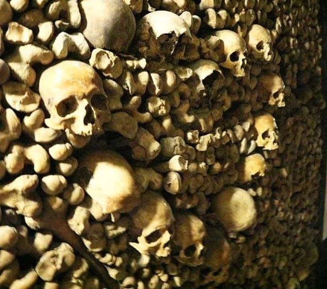 13 отелей по всему миру которые могут вас шокироватьужаснуть или восхитить