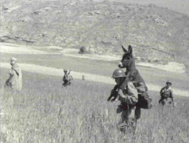 Армейская жизнь суровая и не без казусов