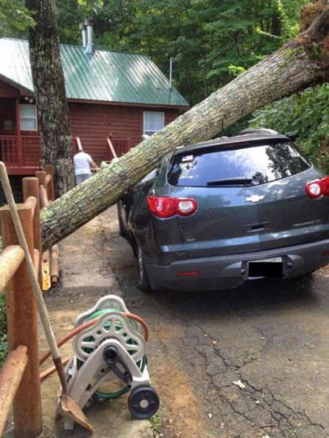 Некоторым лучше просто держаться от машин подальше
