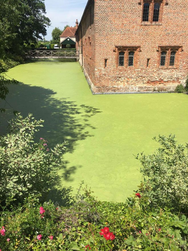 15 фотоиллюзий которые заставят вас задуматься