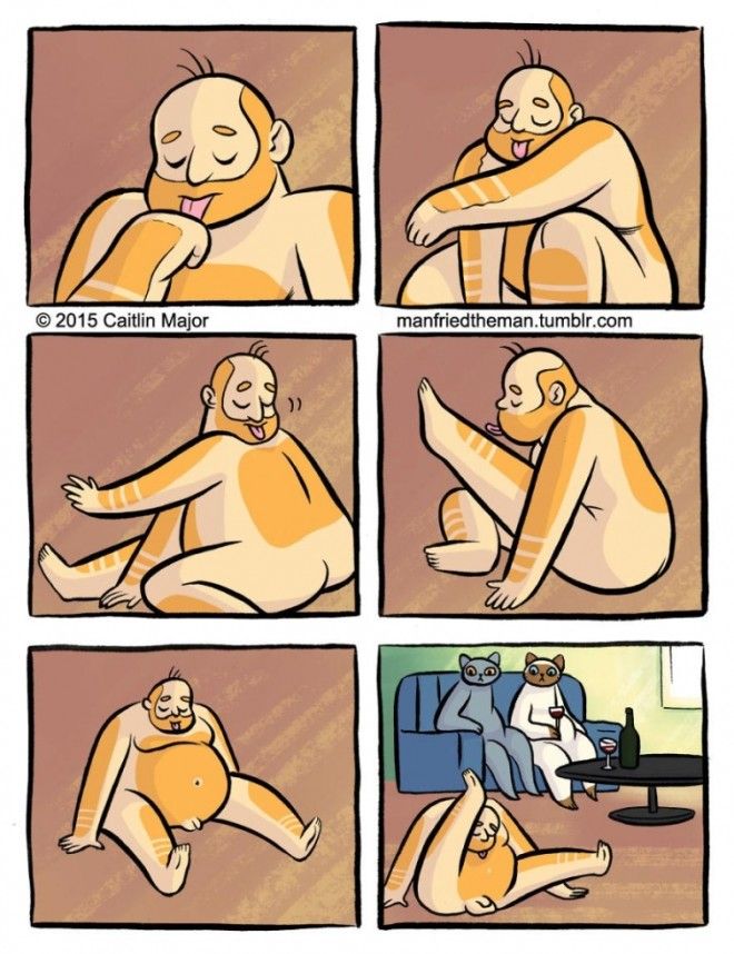 если бы кошки и люди поменялись местами Manfried the Man Человек по имени Манфред Кейтлин Мейджор Caitlin Major