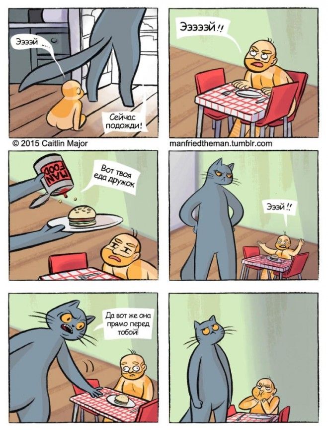 если бы кошки и люди поменялись местами Manfried the Man Человек по имени Манфред Кейтлин Мейджор Caitlin Major