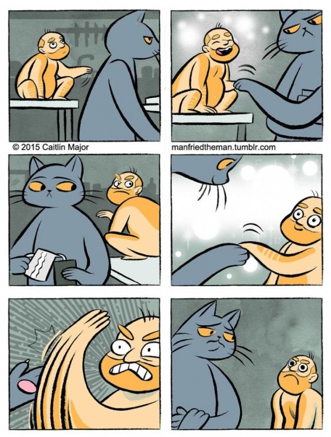 если бы кошки и люди поменялись местами Manfried the Man Человек по имени Манфред Кейтлин Мейджор Caitlin Major