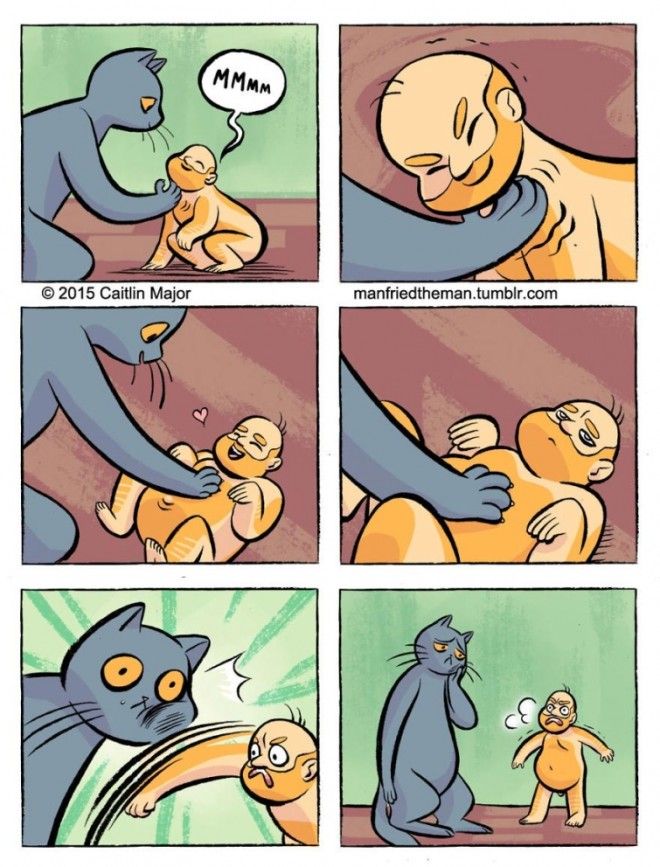 если бы кошки и люди поменялись местами Manfried the Man Человек по имени Манфред Кейтлин Мейджор Caitlin Major