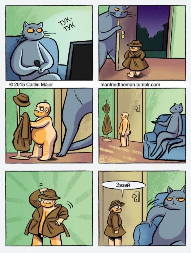 если бы кошки и люди поменялись местами Manfried the Man Человек по имени Манфред Кейтлин Мейджор Caitlin Major