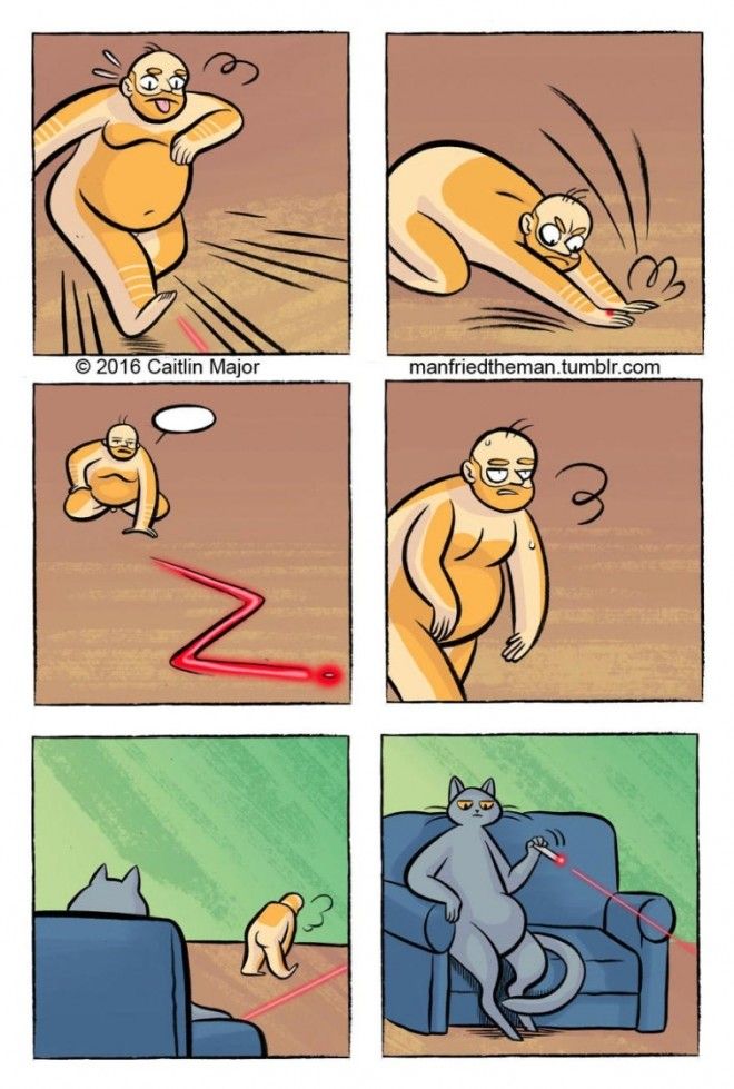 если бы кошки и люди поменялись местами Manfried the Man Человек по имени Манфред Кейтлин Мейджор Caitlin Major