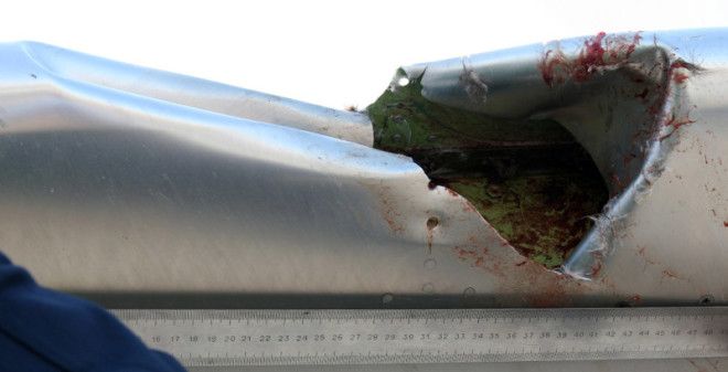 Удивительные истории спасений в авиакатастрофах