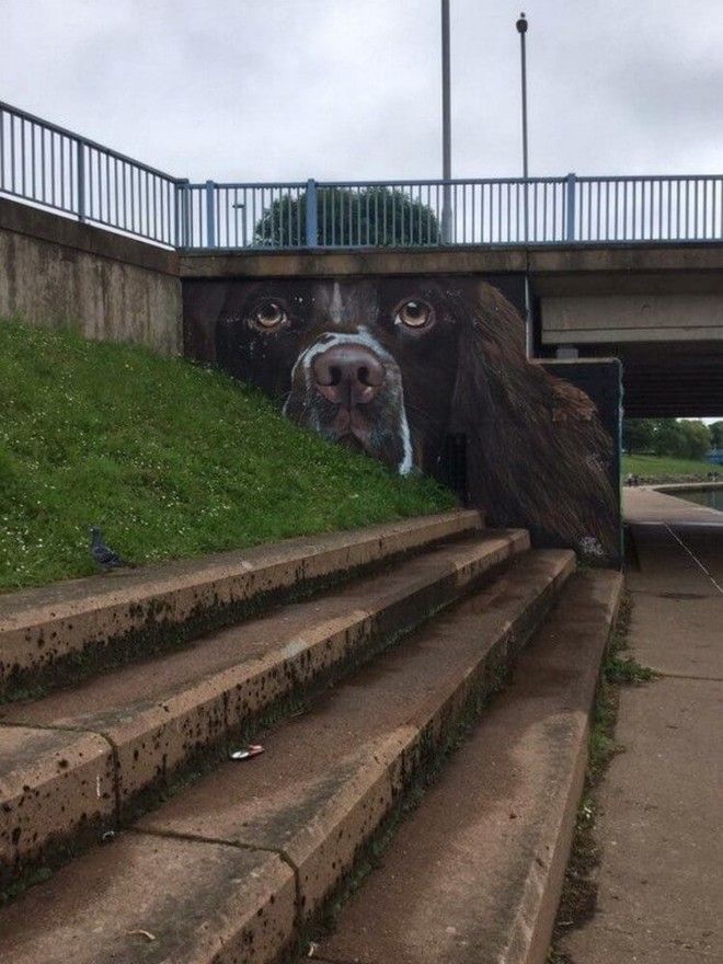 15 крутых кадров от вида которых вы на время забудете где находитесь