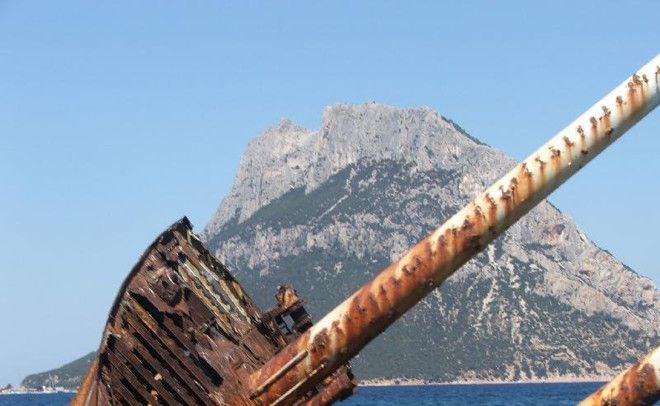 История гласит что прибыв на остров Джузеппе обнаружил там коз чьи зубы были окрашены в золотистожелтый цвет изза водорослей и лишайников которые они ели Когда слух о золотозубых овцах дошел до Карло Альберто тот решил убедиться в чуде лично Встретить монарха вышел 24летний сын Джузеппе Паоло он представился как король острова