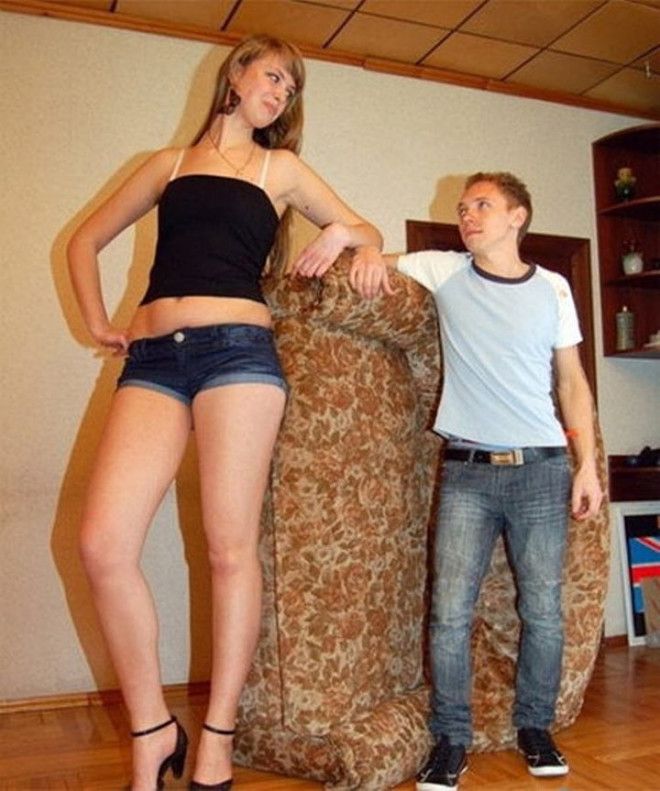 Картинки по запросу