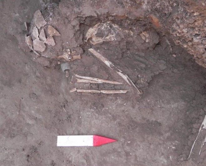 Древние сокровища долины Нила