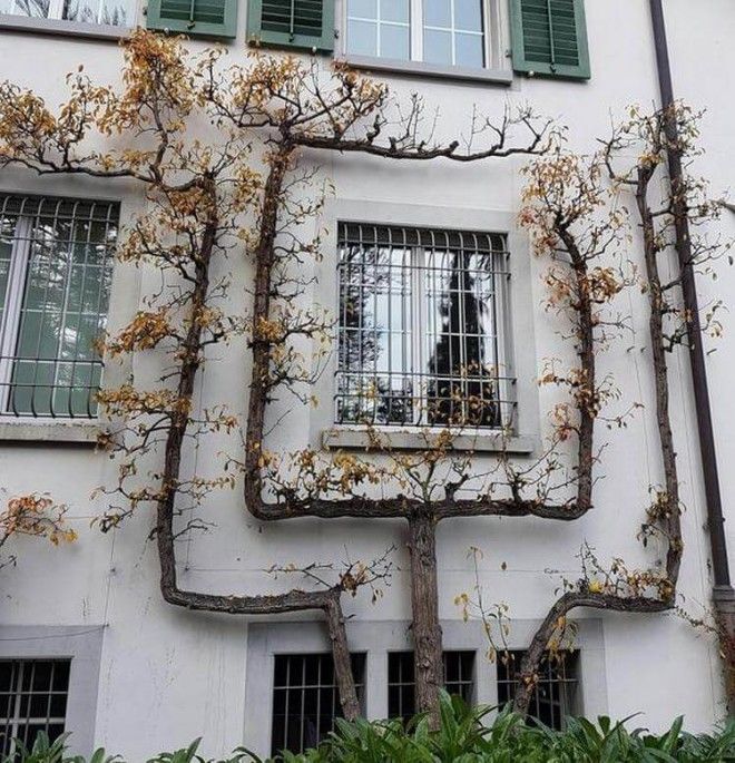 15 крутых кадров от вида которых вы на время забудете где находитесь