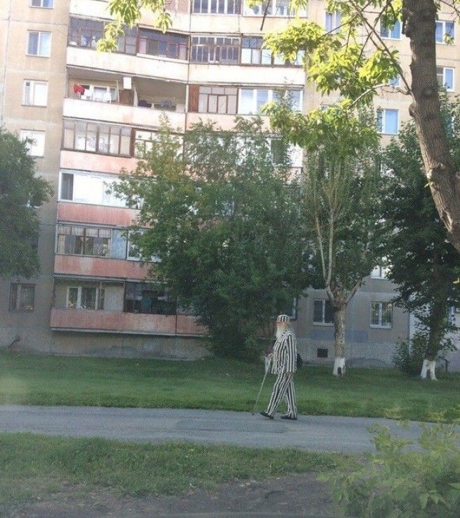 Старость На шесту я её вертел