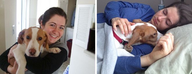 Сердце разрывается первые и последние фотографии хозяев с их питомцами