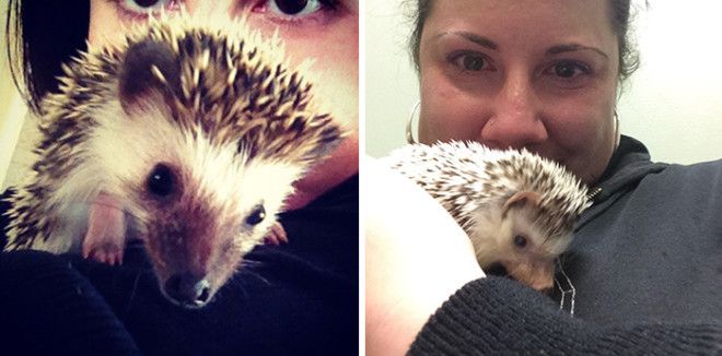 Сердце разрывается первые и последние фотографии хозяев с их питомцами