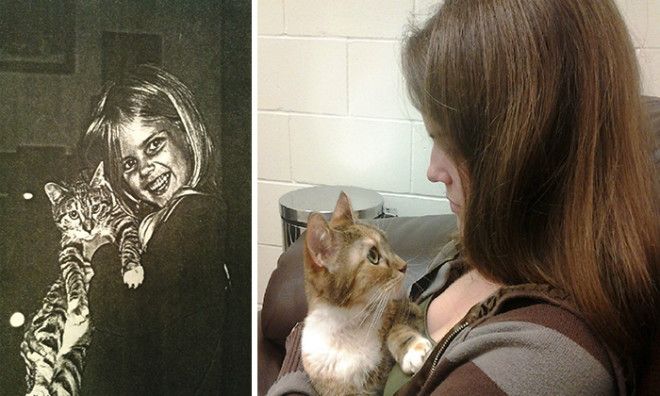 Сердце разрывается первые и последние фотографии хозяев с их питомцами