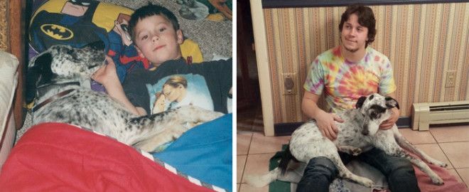 Сердце разрывается первые и последние фотографии хозяев с их питомцами